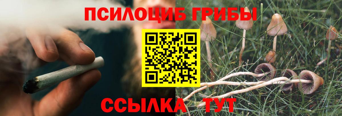 Галлюциногенные грибы Magic Shrooms  Вход с VPN  Березники  Псилоцибиновые грибы мухоморы 
